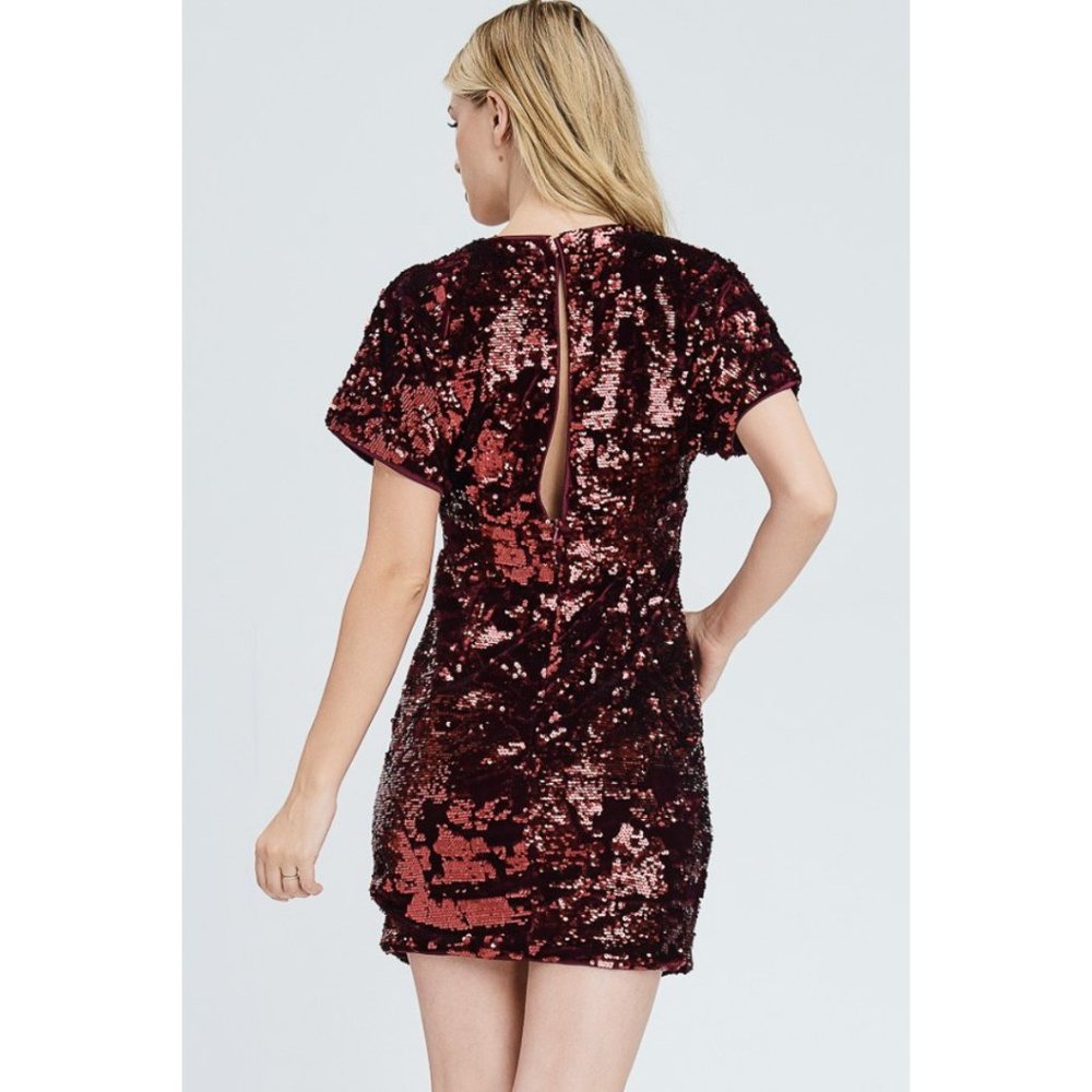 Burgundy Deep V-Neck Sequins Mini Dress - Picture 7 of 7